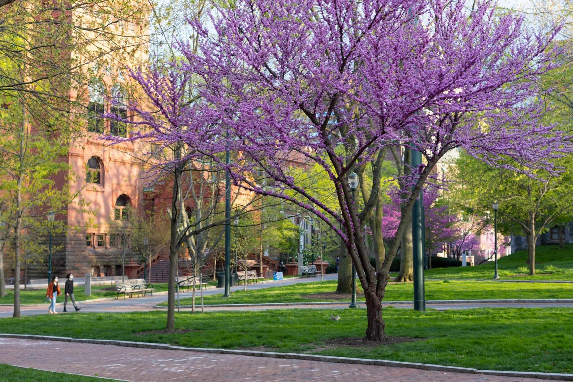 The Inn At Penn, A Hilton Hotel Filadelfia Esterno foto